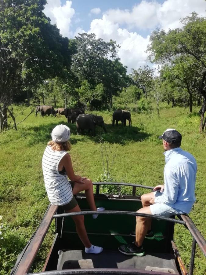 Hotel Tinaya Dambulla Kültér fotó